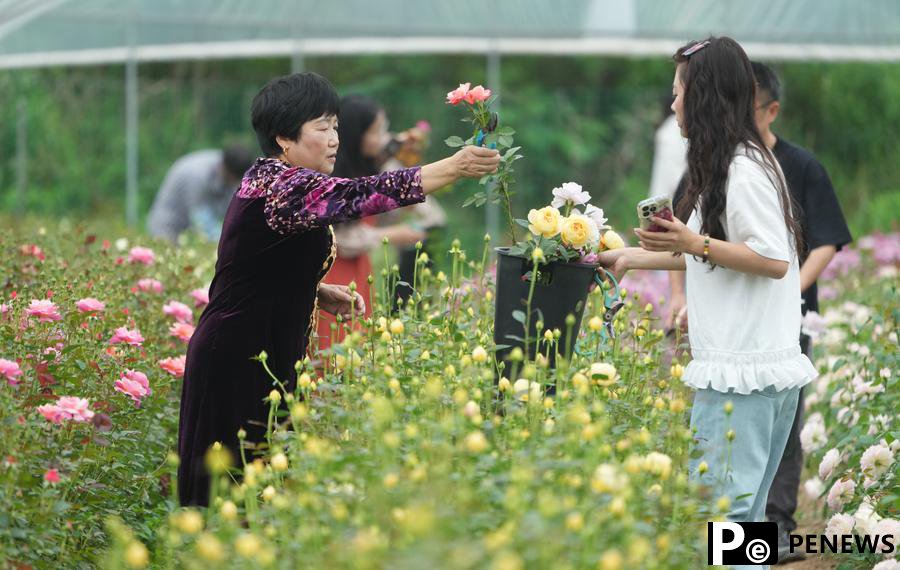 Young lads promote flower business at hometown in E China