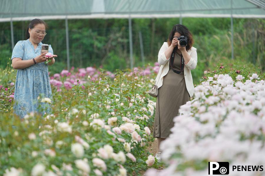 Young lads promote flower business at hometown in E China