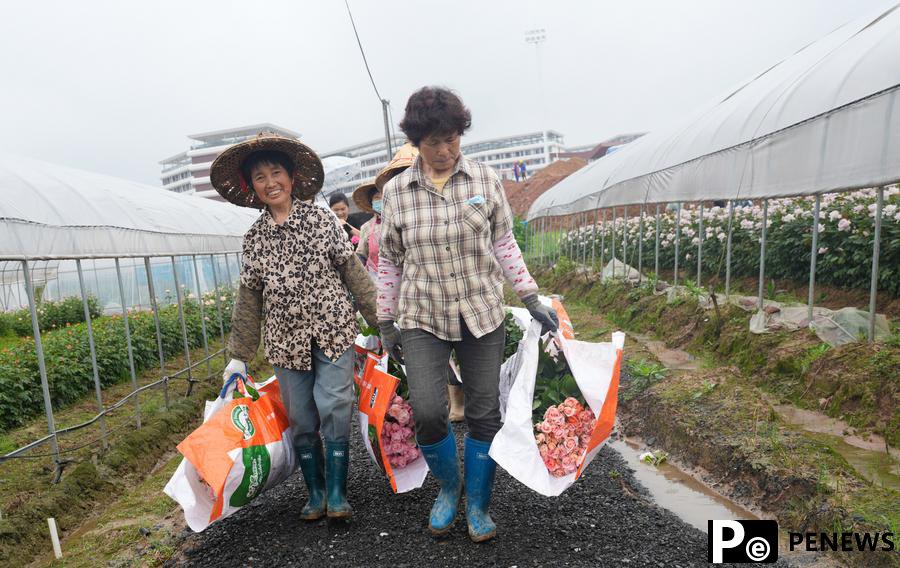 Young lads promote flower business at hometown in E China