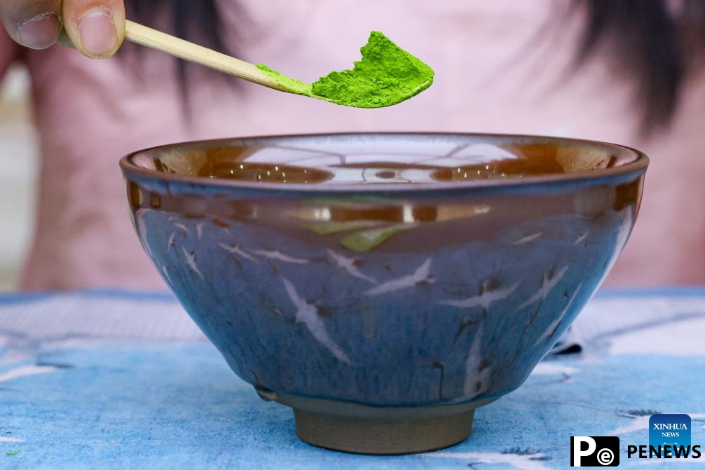 A glimpse of matcha industry in Jiangkou County, China