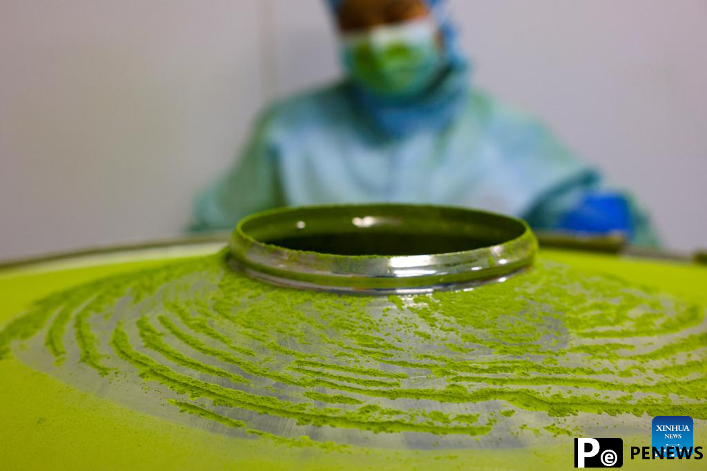 A glimpse of matcha industry in Jiangkou County, China