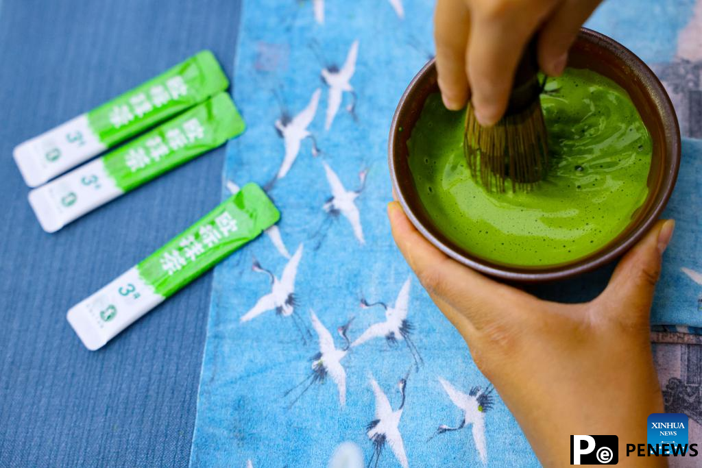 A glimpse of matcha industry in Jiangkou County, China