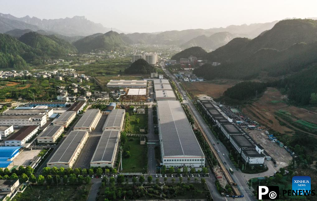 A glimpse of matcha industry in Jiangkou County, China