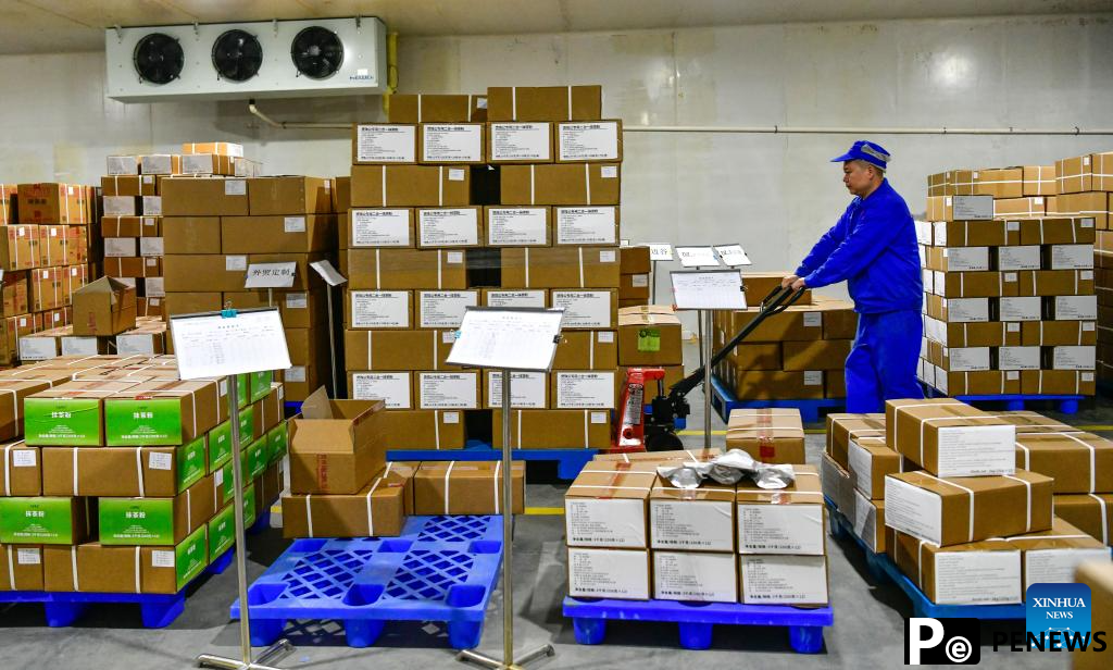 A glimpse of matcha industry in Jiangkou County, China