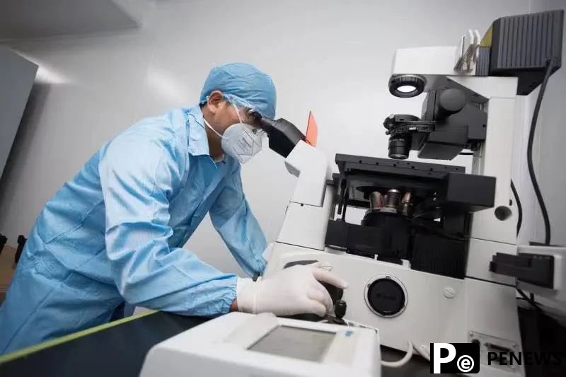 Turning immune cells into cancer