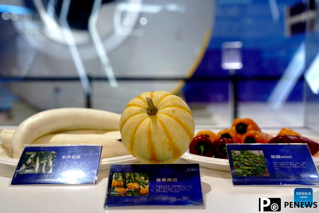 Science exhibition marking 10th Space Day of China held in Shanghai