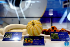 Science exhibition marking 10th Space Day of China held in Shanghai