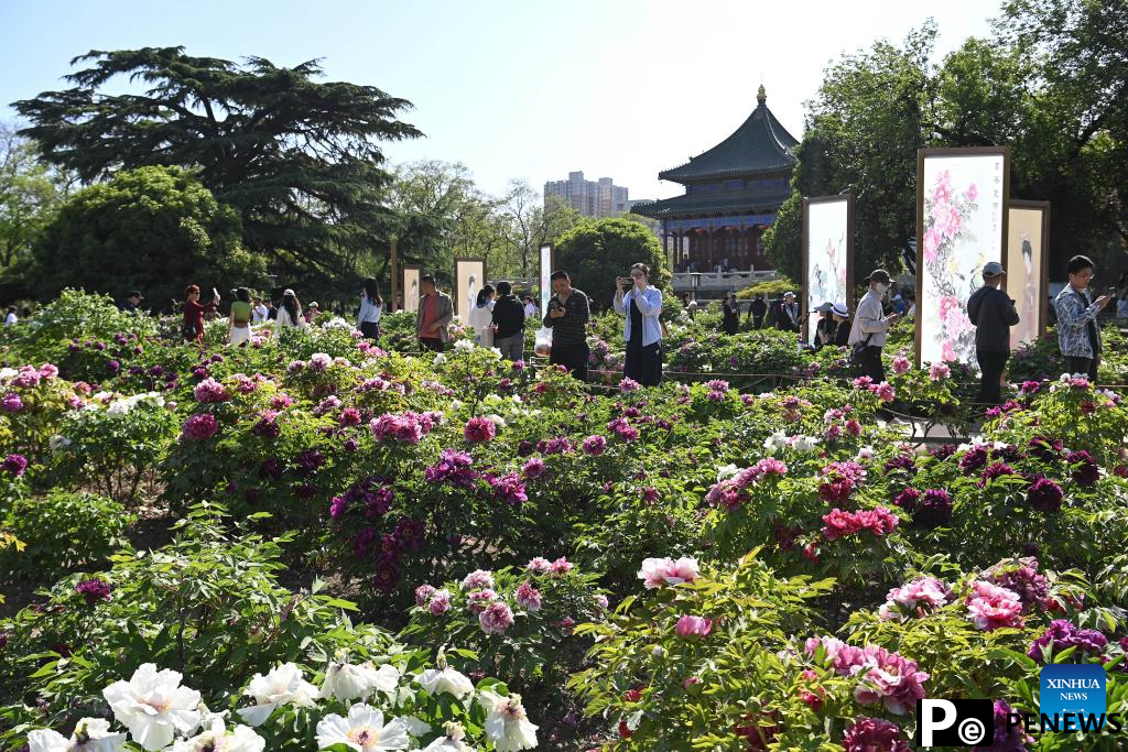 People enjoy spring blossoms in Xi