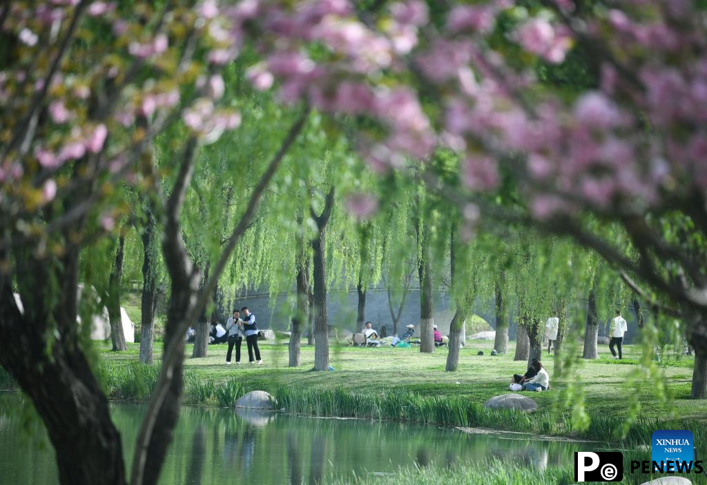 People enjoy spring blossoms in Xi
