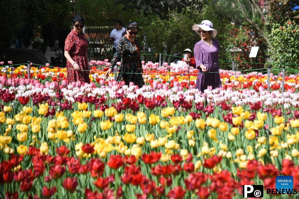People enjoy spring blossoms in Xi
