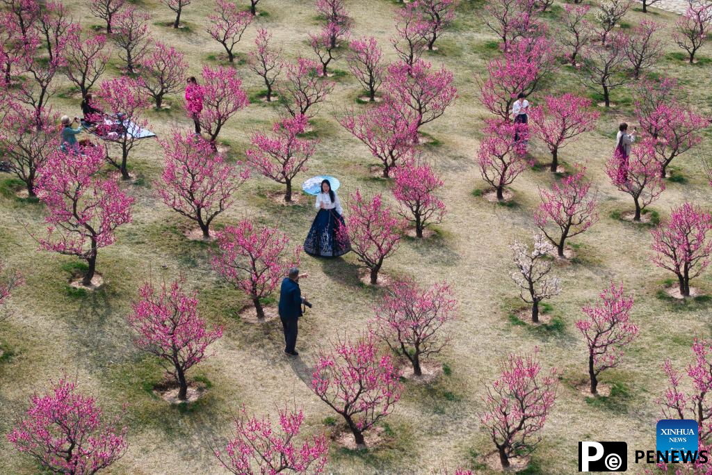 People enjoy spring blossoms in Xi