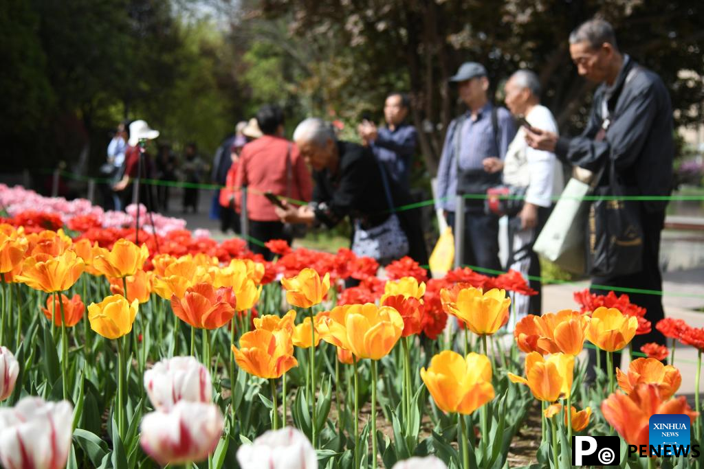 People enjoy spring blossoms in Xi