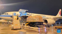 Southwestern China aviation hub unveils 14 new global routes