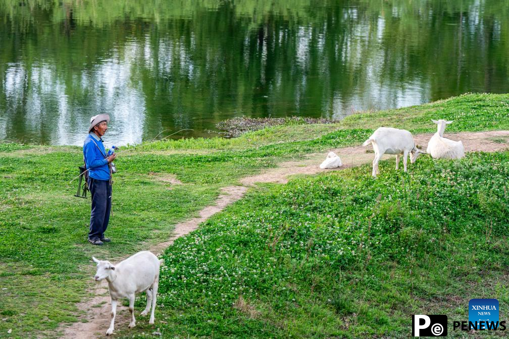 Shaxi town in Yunnan sees tourism boom after restoration