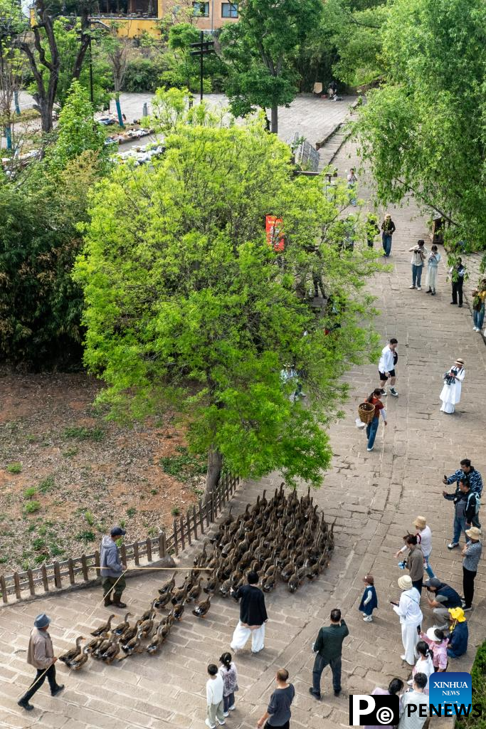 Shaxi town in Yunnan sees tourism boom after restoration