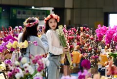 China's urban flower craze drives blossoming floral industry