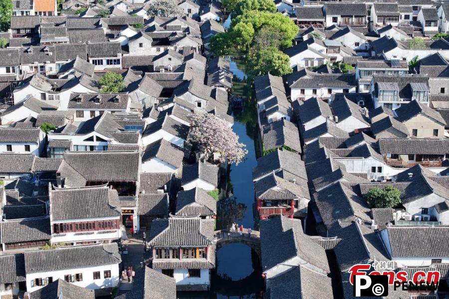 Scenery of renowned water town in Jiangsu