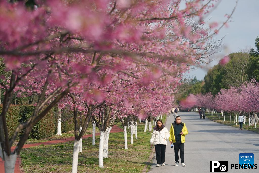 Longhu Mountain boosts tourism with taoist culture, ecological conservation in E China