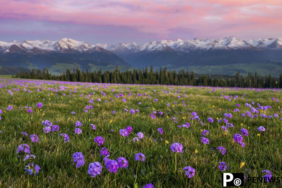Xinjiang reports over 44 million tourist visits in Q1