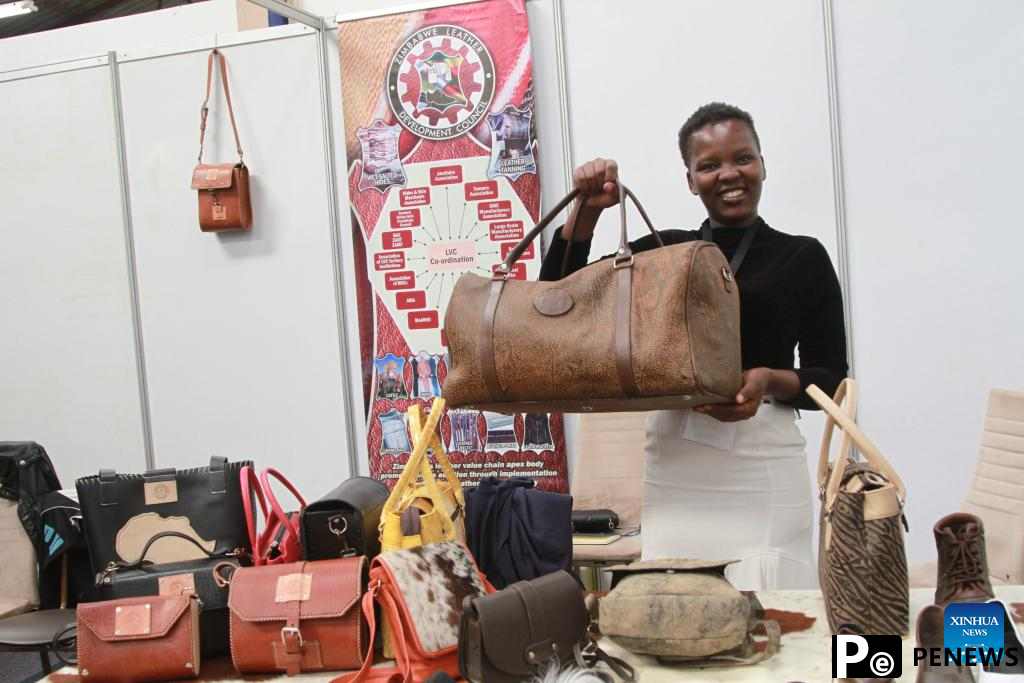 Zimbabwean leather sector eyes partnership with Chinese firms for value addition