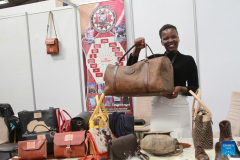 Zimbabwean leather sector eyes partnership with Chinese firms for value addition