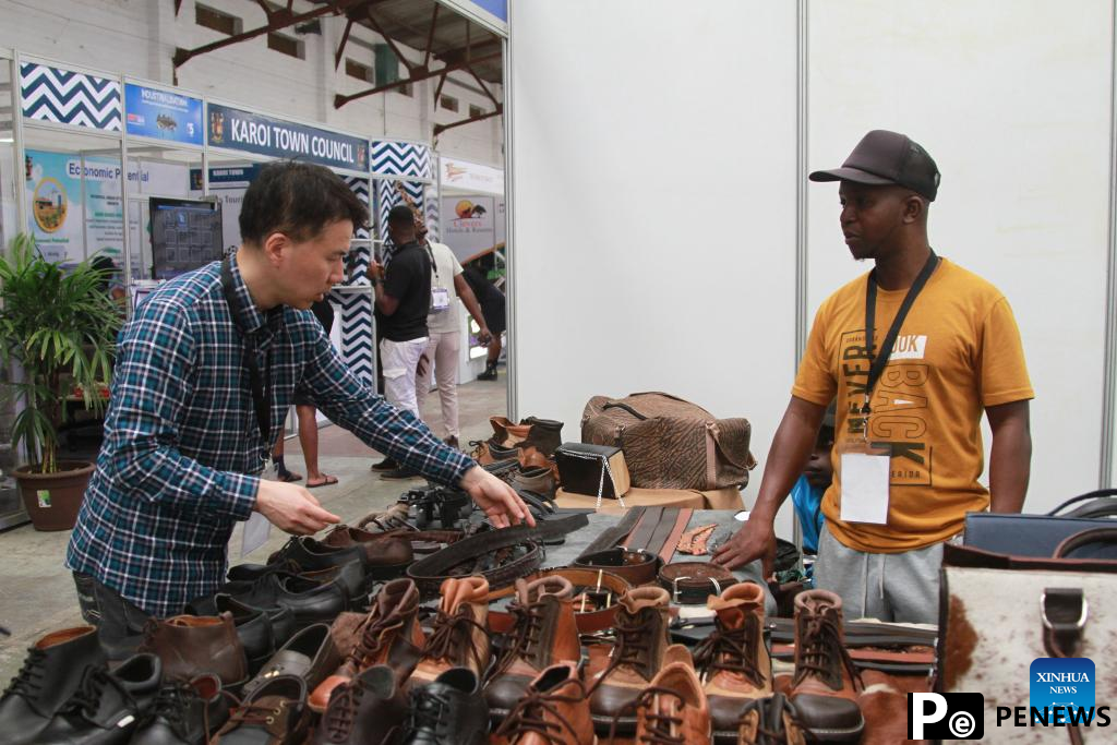 Zimbabwean leather sector eyes partnership with Chinese firms for value addition