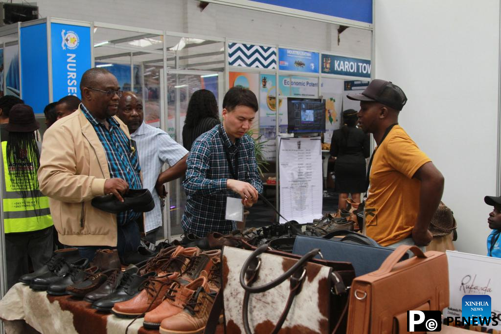 Zimbabwean leather sector eyes partnership with Chinese firms for value addition