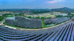 China's green power trading gathers momentum