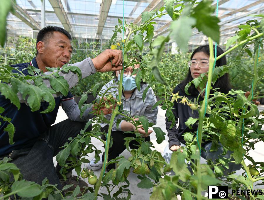 Agricultural technology incubator nurtures young talents in Tianjin