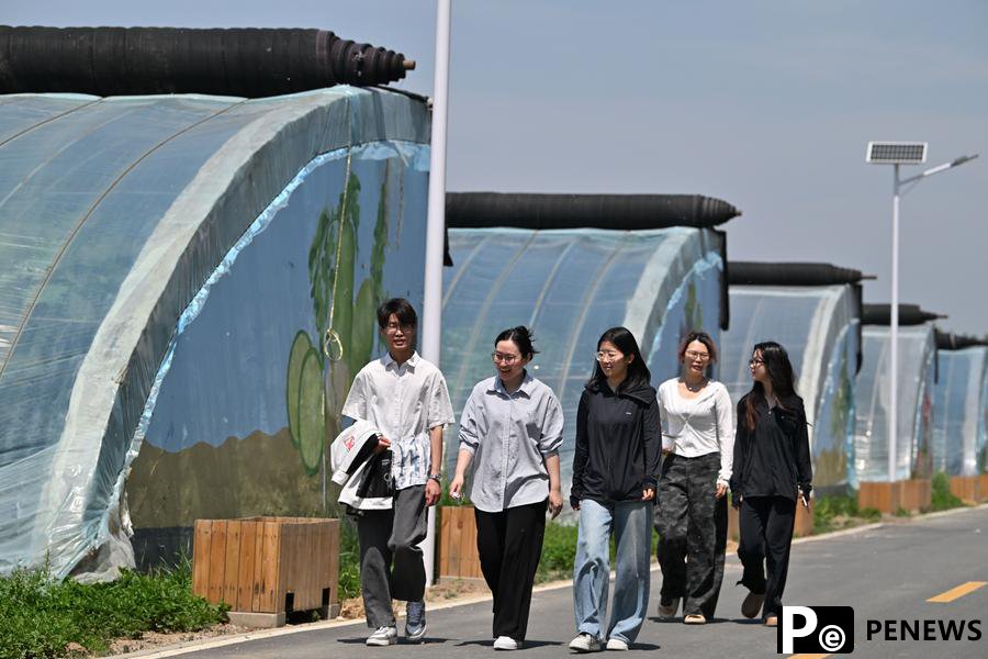 Agricultural technology incubator nurtures young talents in Tianjin