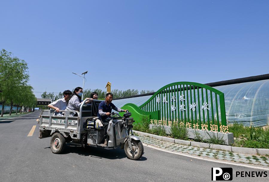 Agricultural technology incubator nurtures young talents in Tianjin