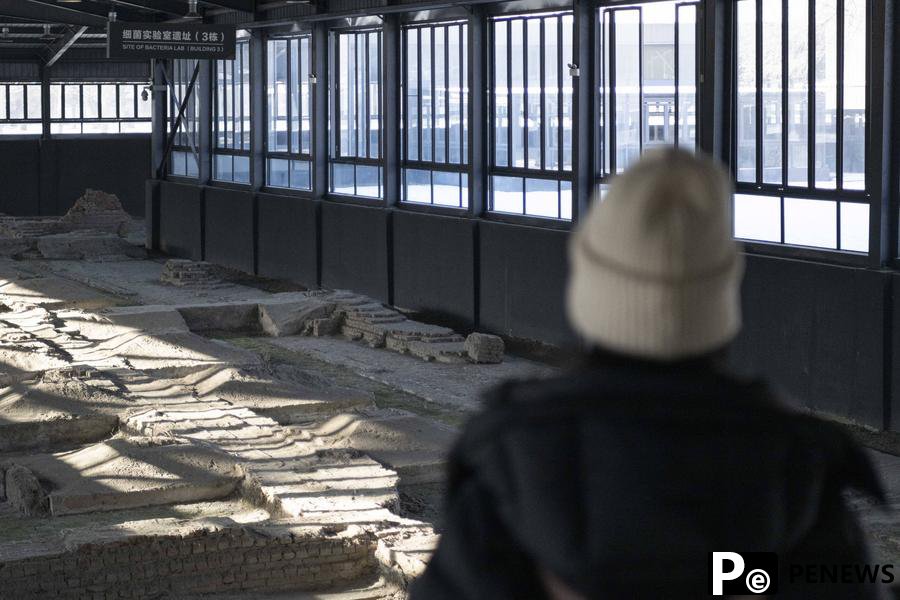 Explainer: Why historical truth of WWII should never be distorted