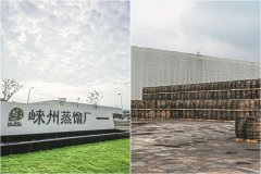 Popularity of nation's maturing whisky industry uncorked