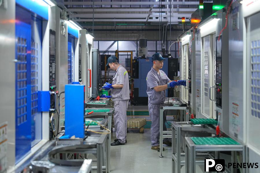 Beibei District of Chongqing boosts private economy with new momentum