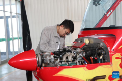 Liaoning in NE China seizes opportunities to develop low