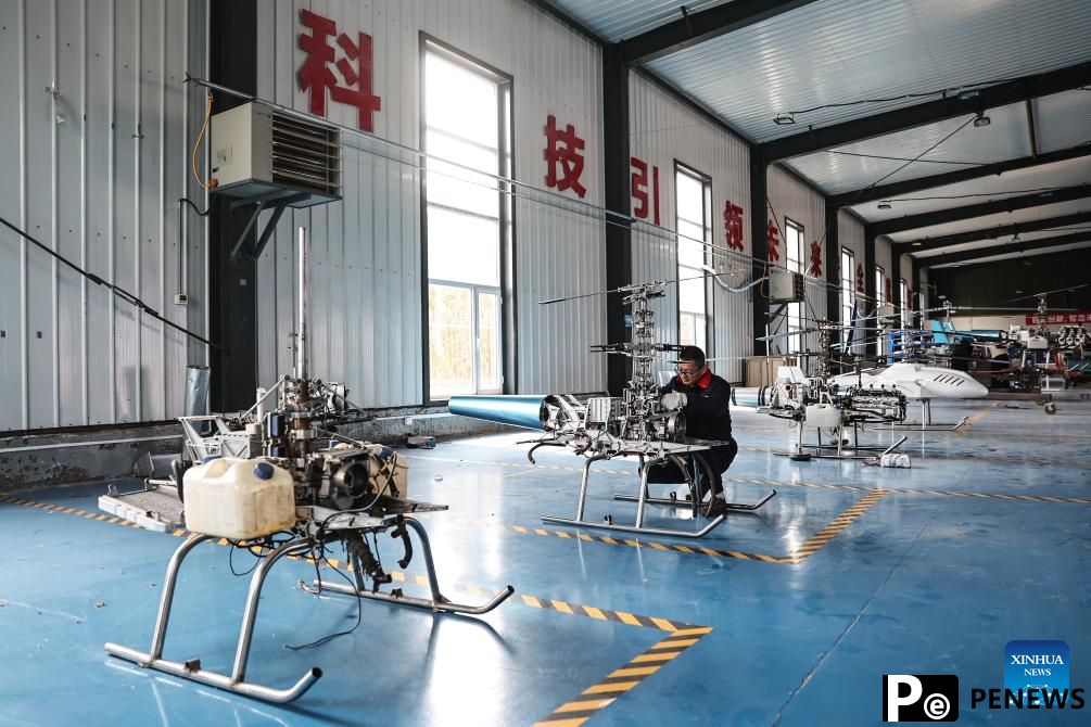 Liaoning in NE China seizes opportunities to develop low