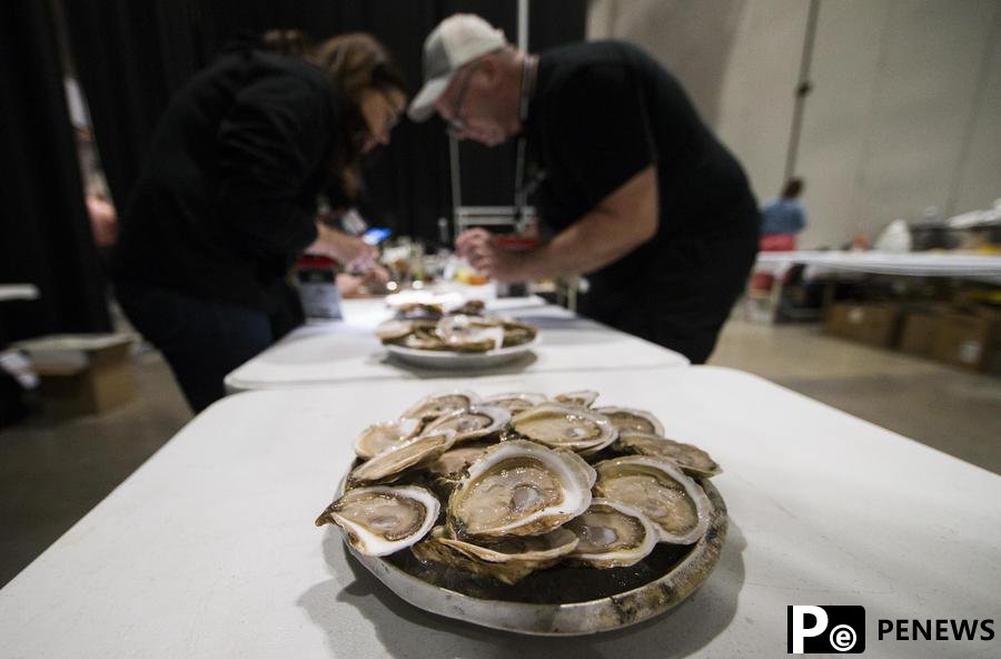 Oyster fossils offer new insights into history of global warming