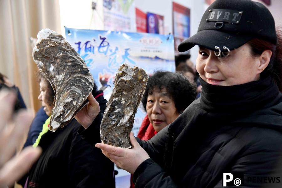 Oyster fossils offer new insights into history of global warming