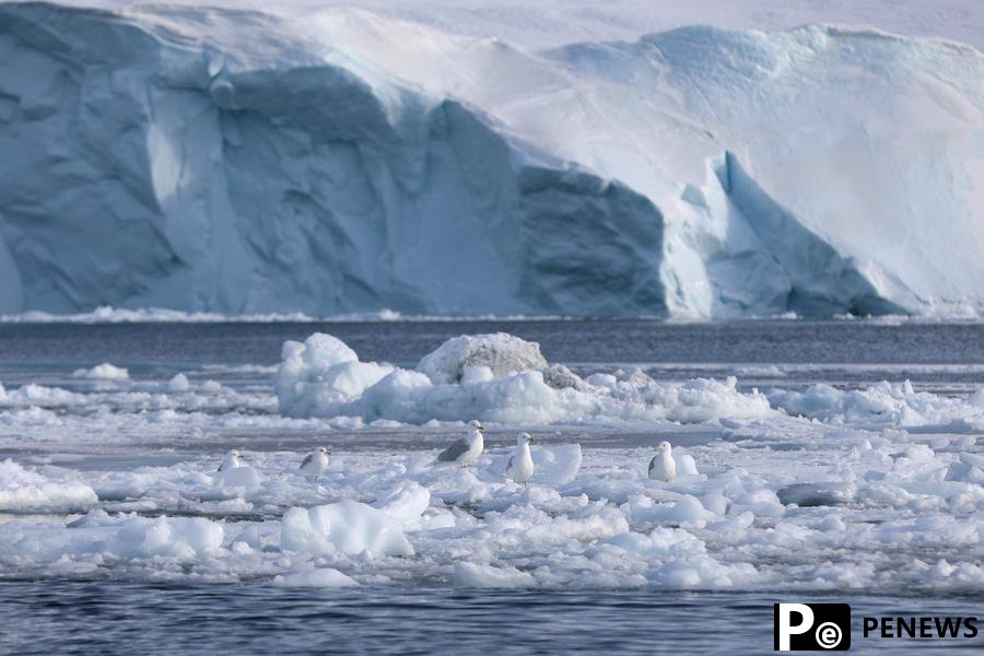 Oyster fossils offer new insights into history of global warming