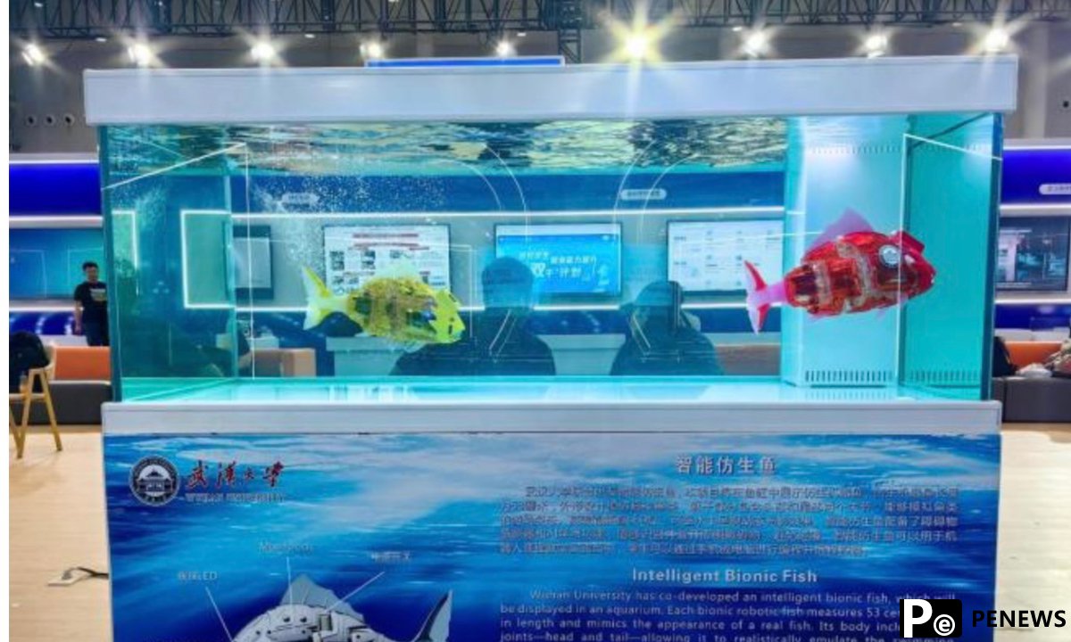 China uses bionic robotic fish in Yangtze River protection