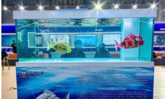 China uses bionic robotic fish in Yangtze River protection