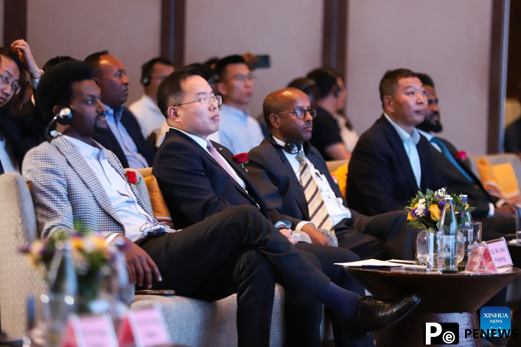 Chinese car manufacturer introduces EV brand to Ethiopian market
