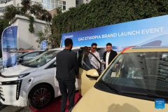 Chinese car manufacturer introduces EV brand to Ethiopian market