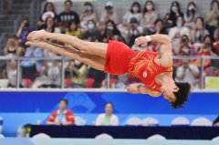 around title at National Gymnastics Championships