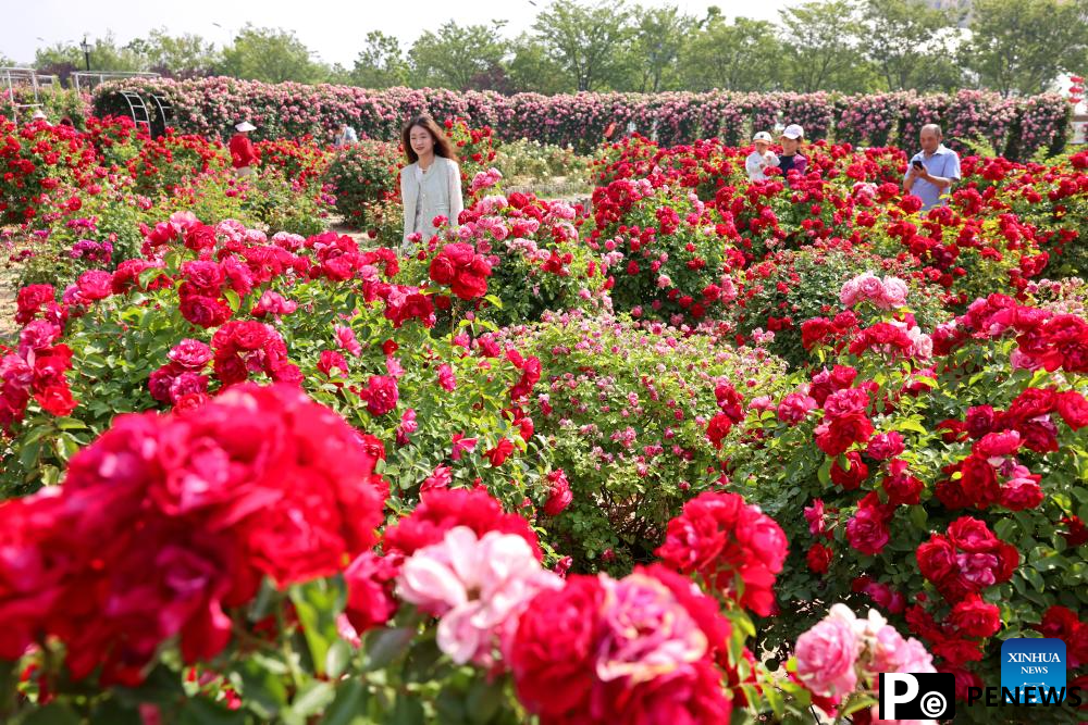 Tourism Day marked across China