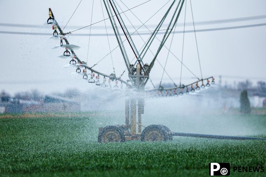 Chinese scientists unveil dataset for global cropland water