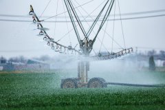 Chinese scientists unveil dataset for global cropland water