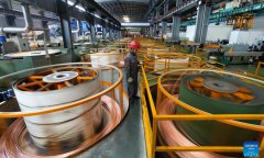 China's private sector promotion law takes effect, boosting growth and confidence amid external pressure