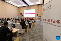 Bank of China marks 10 years as RMB clearing bank in Zambia