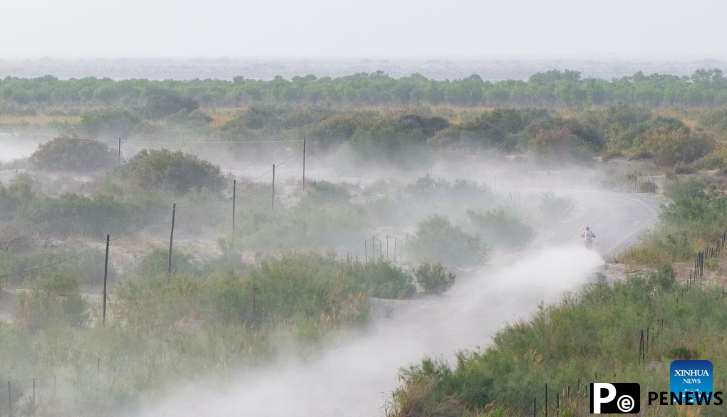 In pics: Stage 5 of 2025 Taklimakan Rally in China